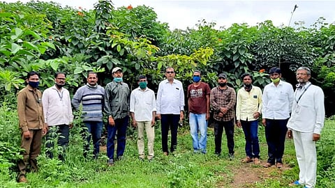 इंदापूर : नगरपरिषदेच्या अटल घन वन योजने अंतर्गत तयार करण्यात आलेल्या ऑक्सिजन पार्क पाहणी प्रसंगी शिरढोण (ता. कोरेगाव जि. सातारा) येथील युवक