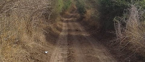 Encroachment on Panand road in Mangalpur in Nevasa taluka