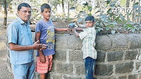 Satara Latest Marathi News, Satara News