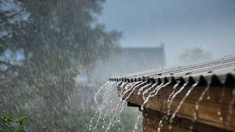 Rain in Maharashtra | Maharashtra Weather Updates