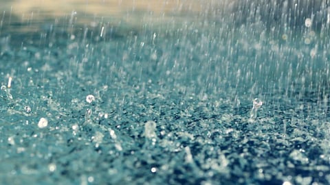 Rain