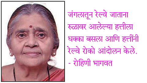 Rohini-Bhagwat
