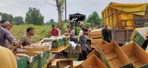 कोरोना संकटातही शहापूरच्या शेतकऱ्याने मिळवीले लाखोचे उत्पन्न
