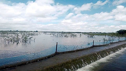 Satara
