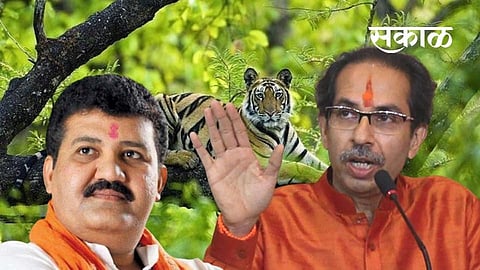 Akola News Sanjay Rathore resignation Sanjay Raimulkar and Gopikishan Bajoria discussed of Minister.