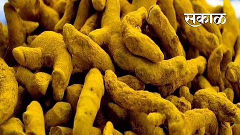Turmeric