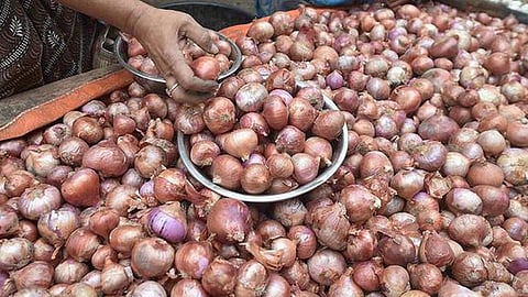 Shortage of onion seeds in Pune district due to heavy rain