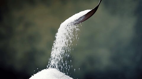 Sugarcane