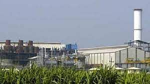 Sugar Factory