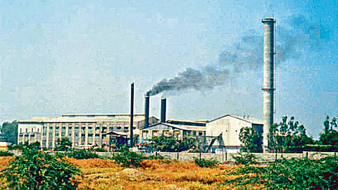 Sugar-Factory