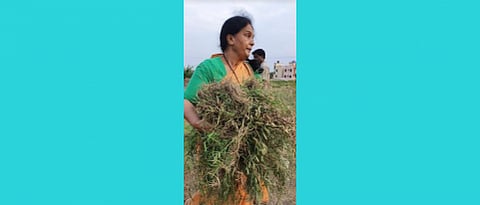 Karjat MLA Rohit Pawar mother Sunanda Pawar is doing cleaning work