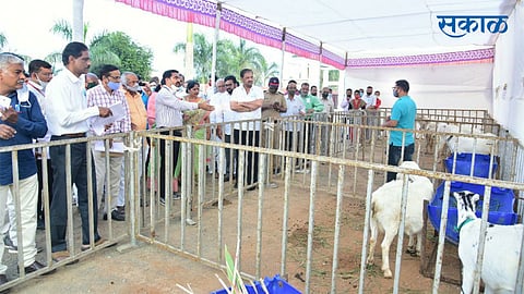 Sunil-Kedar