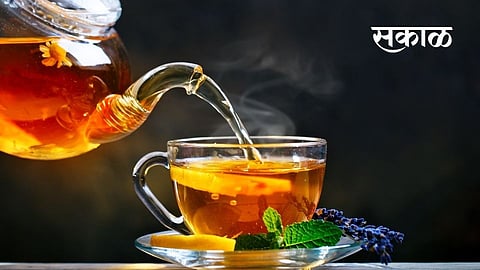 TEA LOVER