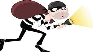 Thief