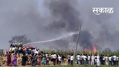 Two acres of sugarcane caught fire in the radish factory group area.jpg