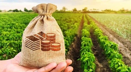 Effect of of "Corona": Slower disbursement of crop