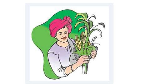Farmer's Honor section to be opened in agricultural office kolhapur marathi news