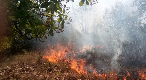 The barren mountains in Kajirane have been damaged cashew trees