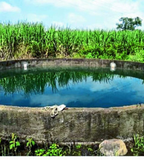 Mother and Child dies after being drowned in a well in Mangalveda taluka