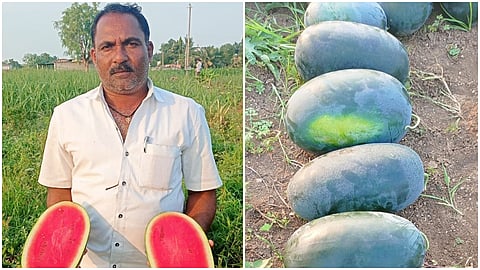 Watermelon