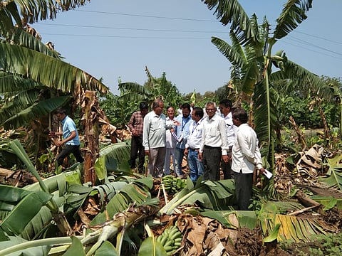 untimely rain issue
