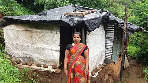 Yashoda Zole.jpg