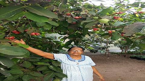 #SundayMotivation: या जेष्ठ जोडप्याच्या जिद्दीने बहरली परसबाग; लॉकडाऊनचा केला सकारात्मक उपयोग