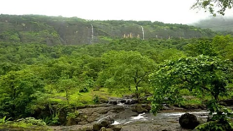 भीमाशंकर अभयारण्यातील 42 गावांचा परिसर 'इको सेन्सिटिव्ह झोन' म्हणून जाहीर