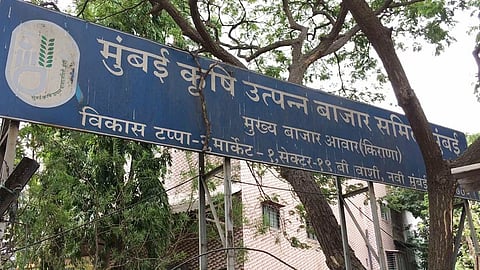 मोठी बातमी : APMC मार्केटमध्ये शेकडो कोटींचा घोटाळा, चौकशीसाठी सरकारची टाळाटाळ