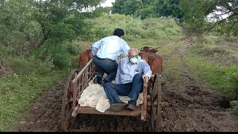 bail gadi
