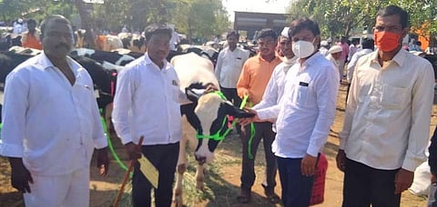 सभापतींनी एकाच दिवसात गाठले जनावरांचे चार बाजार