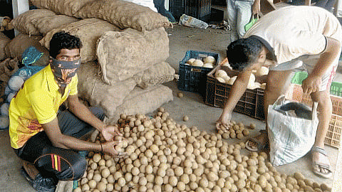 batata.jpg