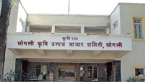 Sangli market committee election in February?