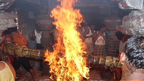 bhendoli.jpg
