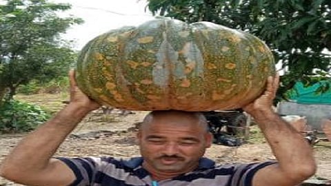 bhopala.jpg
