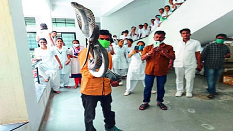 cobra hospital.jpg