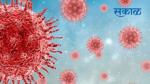 Coronavirus Update ,new covid19 cases