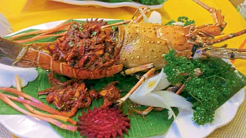 crab-and-lobster-festival