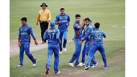 cricket