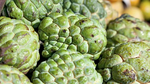 Hivrebazar is known for its custard apple production