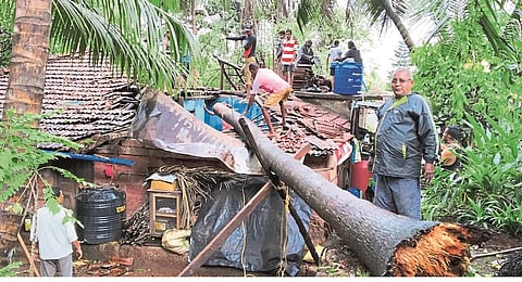 Maintain the changed criteria of compensation; The call of the Konkan