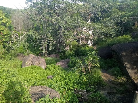 Dongargan Shivrata No one followed social distance