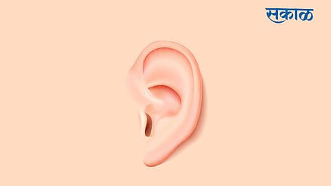 ear surgery is easy to learn due to temporal bone 3d print in nagpur