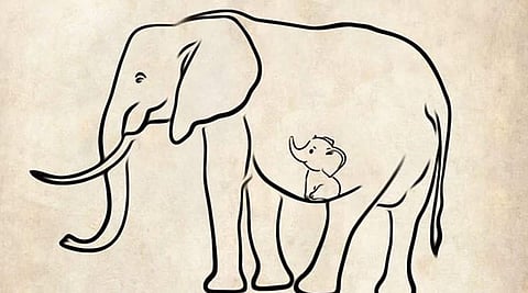 elephant-died