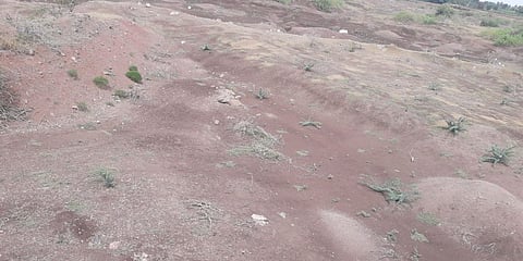 famine condition