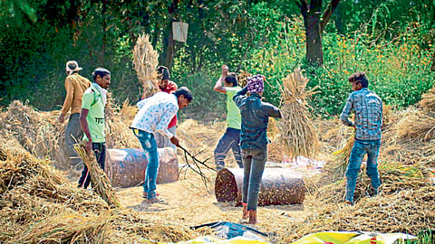 ऑप्शन्स इन गुड्स : मस्त भावासाठी स्वस्त पर्याय