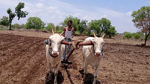 Although four months have passed, the farmers have not received any help washim akola marathi news