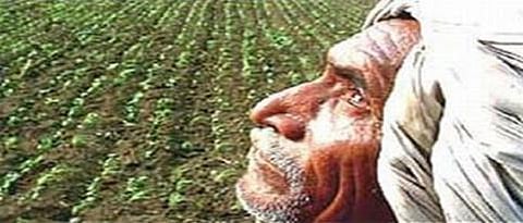 akola onset of rains at the beginning of the kharif, four days of rain; Sowing will be reversed