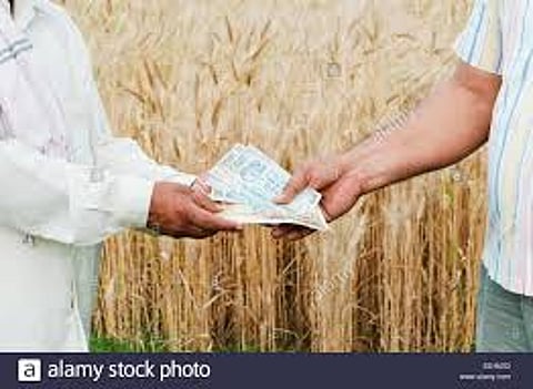 farmer