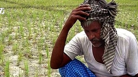 Farmer News